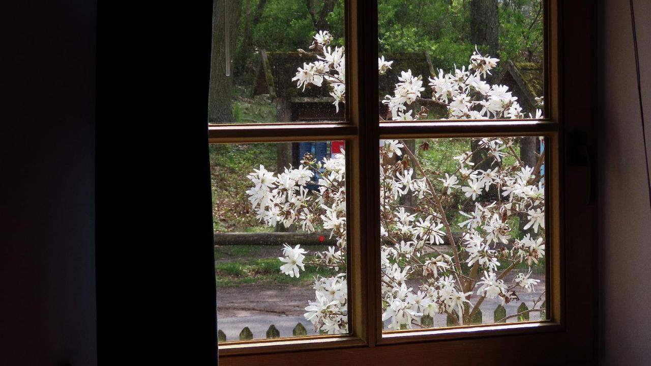 Ferienwohnung "Specker Krug" Kargow Екстер'єр фото